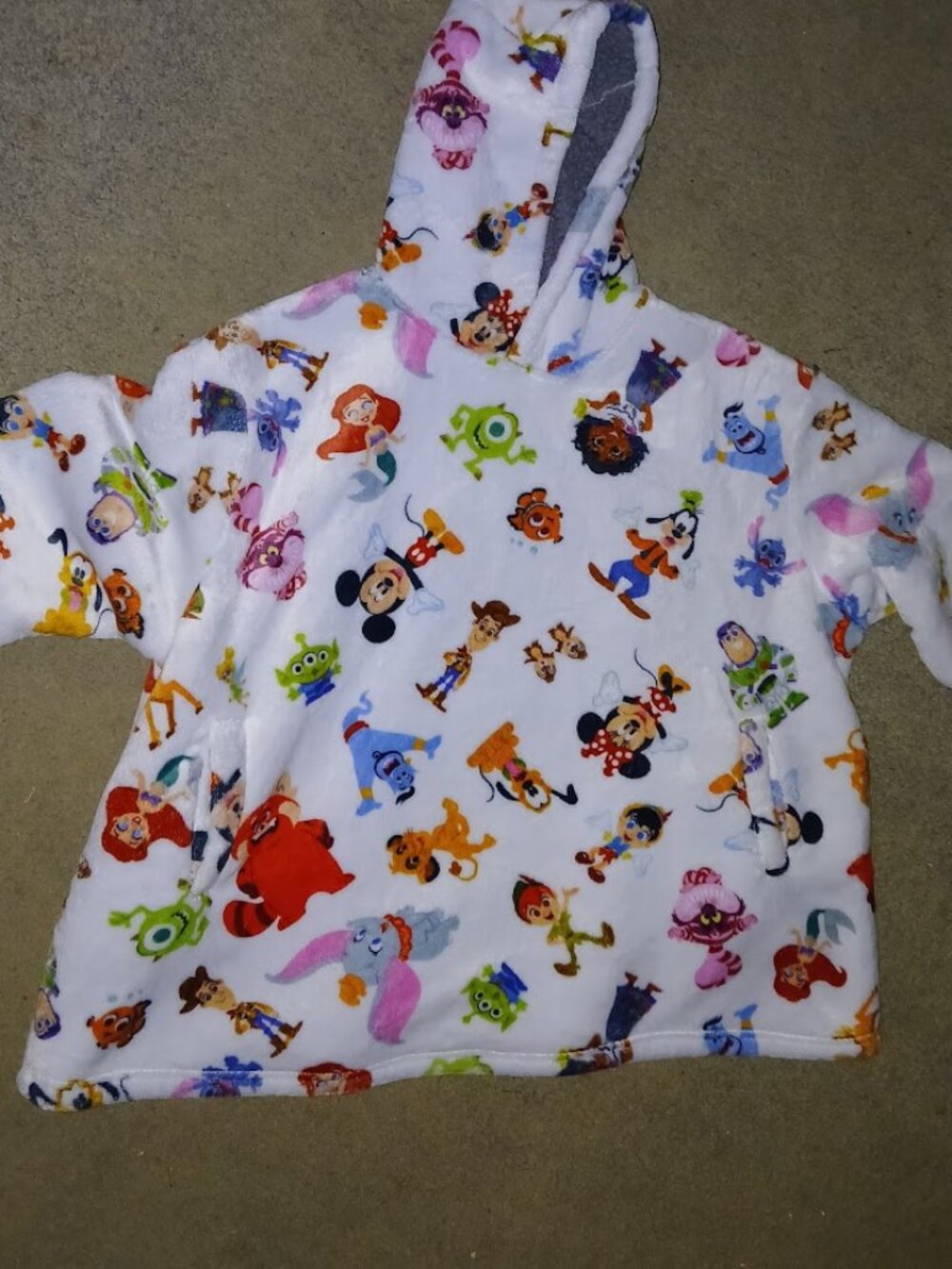 Disney 100 pull over